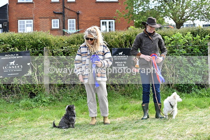 WJ5_0863 - Best in Show Championship