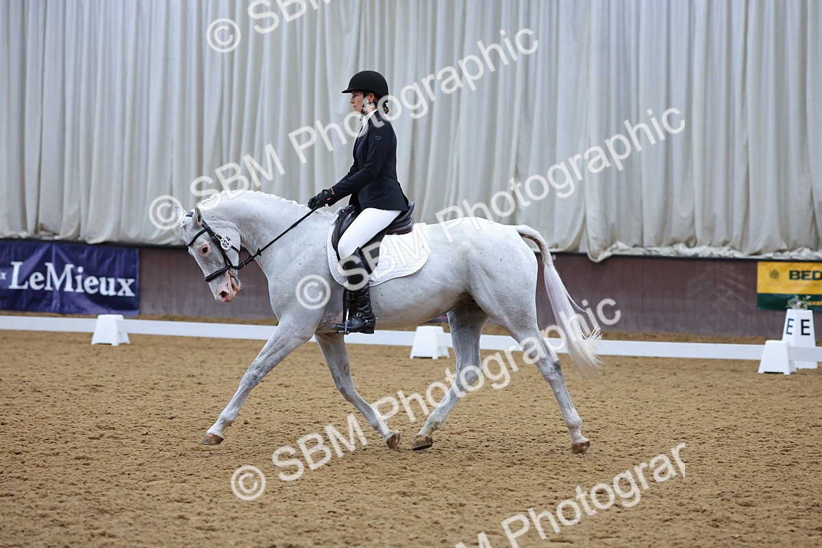SBM_001899 - Class 5 - Novice 3