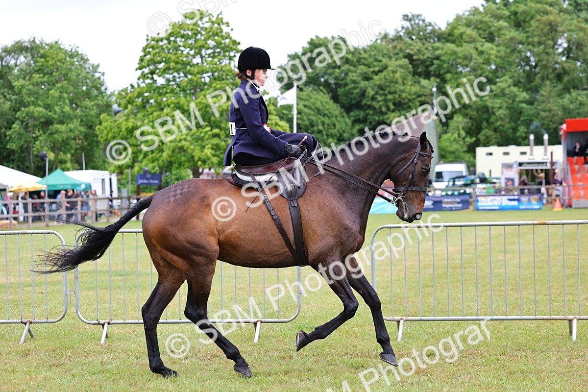 SBM_02870 - Class 9-11 Side Saddle including LIHS Rising Star Ladies Show Horse