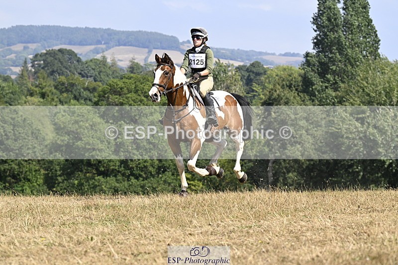 250824A-144020-38051 - 2125-Hen.Jeanes-Painted.proper