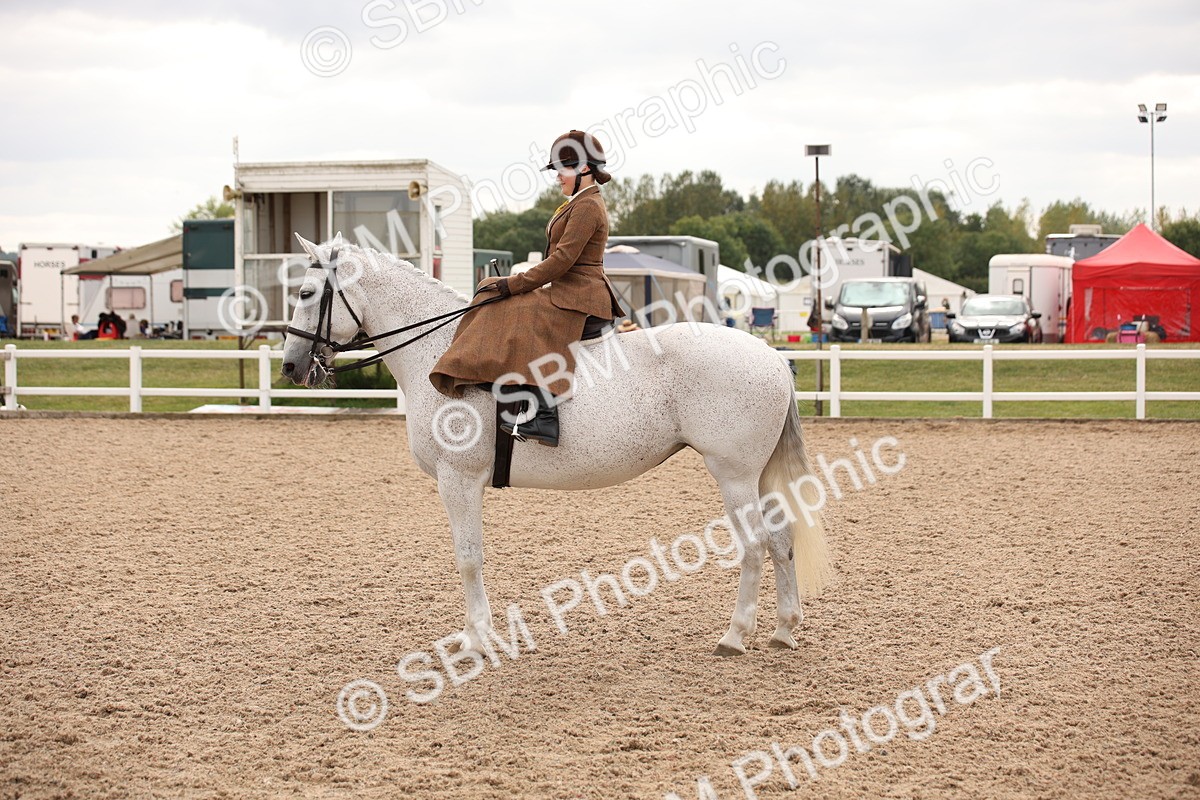 SBM_05412 - Class 22 SSA Equitation