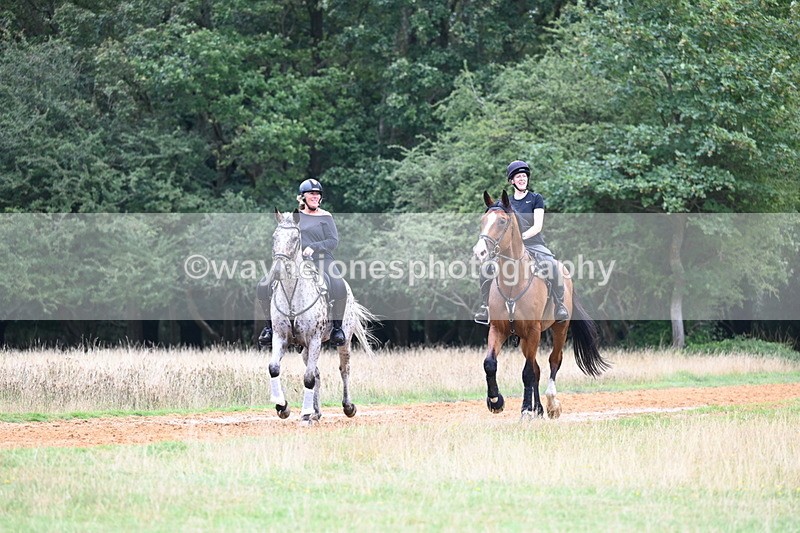 DSC_6275 - Time at Statue 12:17 to 12:44