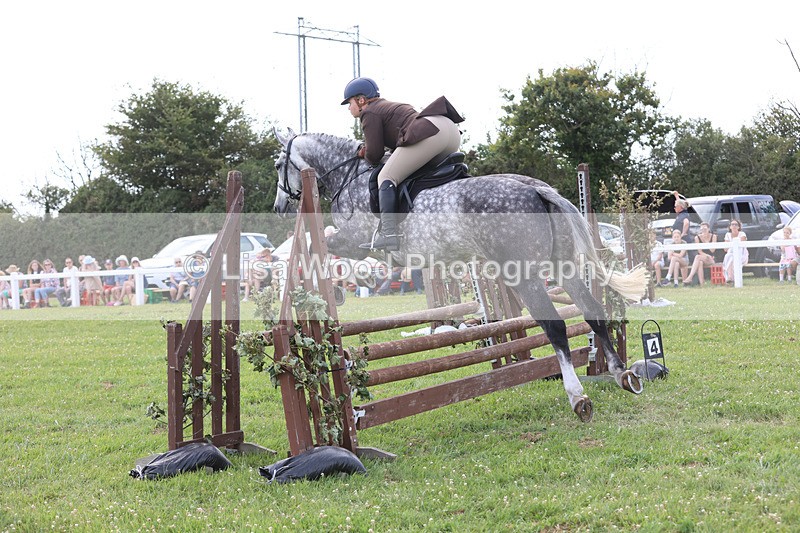 JPP_3805 - Class 23: Working Hunter 80cm