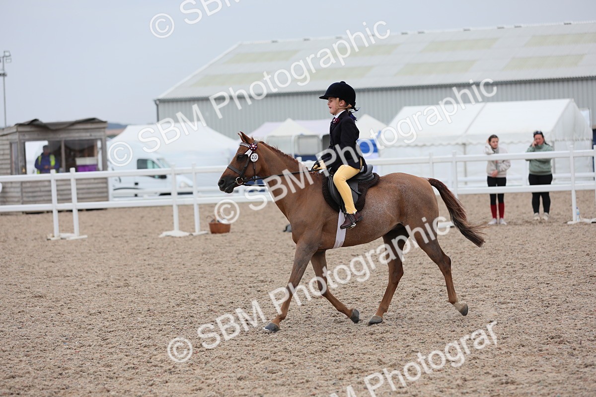 SBM_18133 - Class 316 Best Pony/Rider Combination