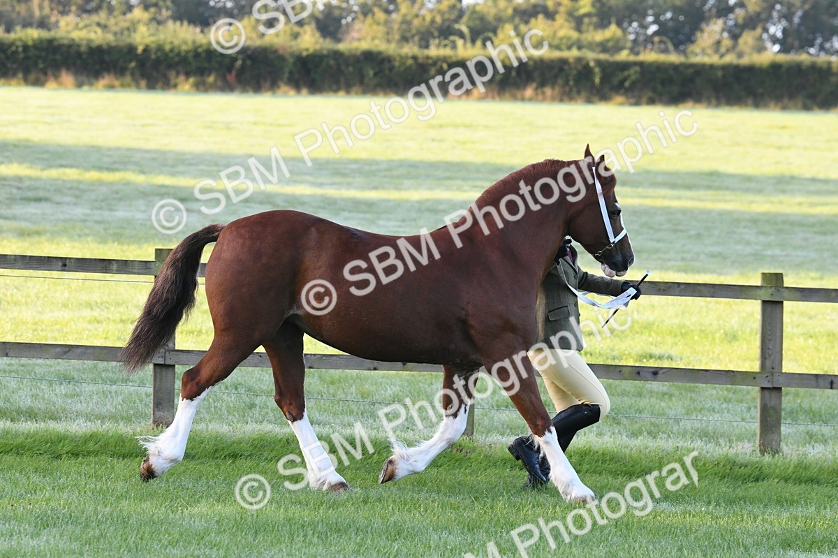 SBM_32520 - S15 - Condition & Turnout In Hand