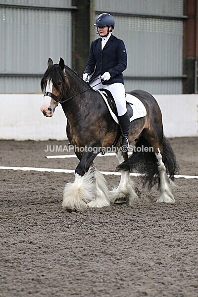 SIAL4118 - CAbin Dressage 5th july 2025