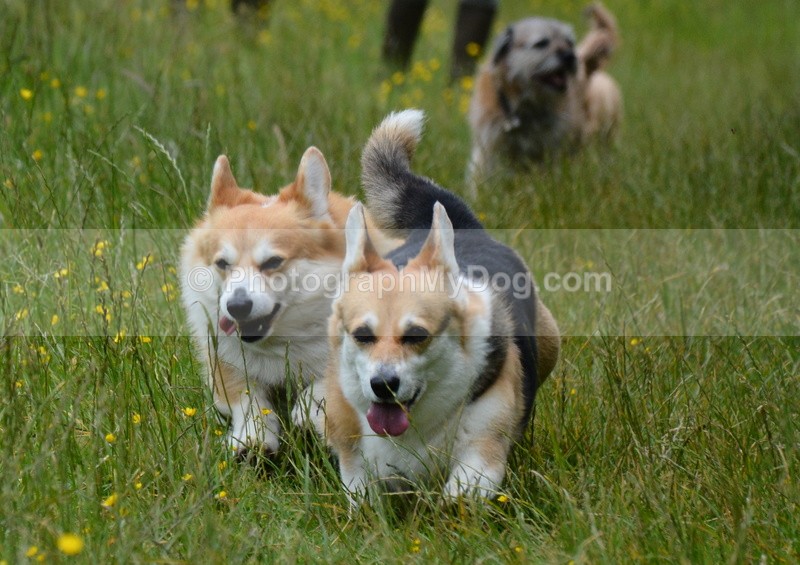  - Eric, Ulla, Maisie and Lola