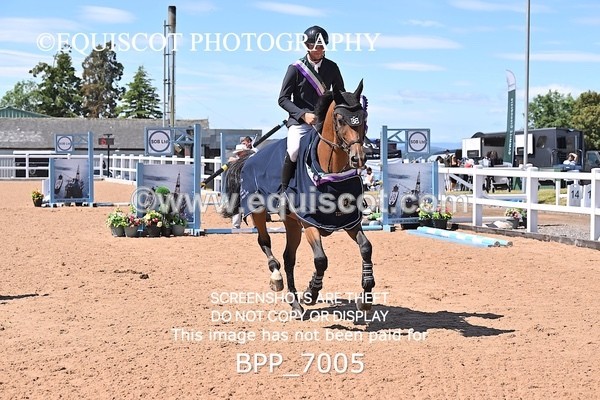 BPP_7005 - CLASS 13 FRI HOYS Talent Seeker Qualifier Inc 7 Year Old Horse Championship Qualifier