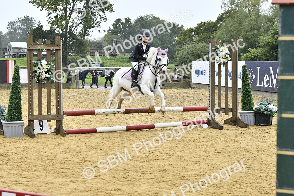 SBM_70904 - J3 - Mini Tour Junior Pony 40cm championship