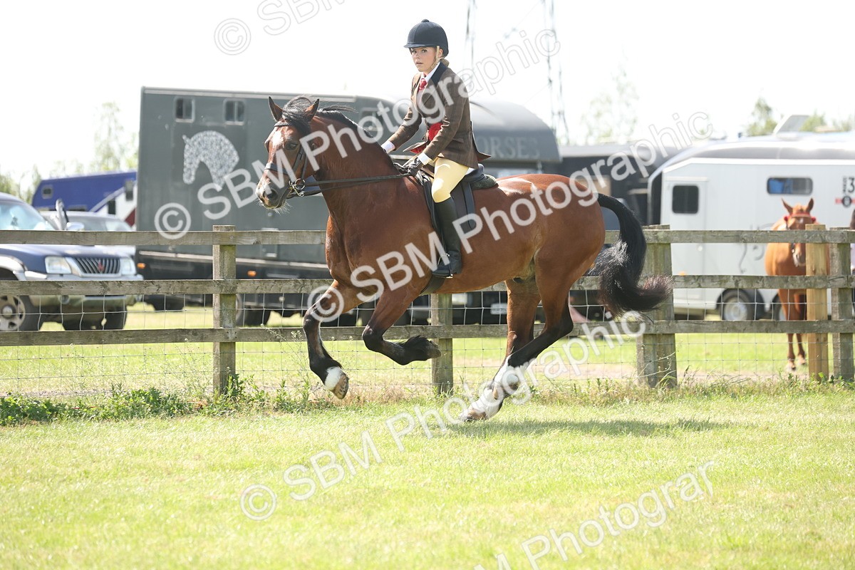 SBM_07705 - Class 26-30 - Mountain and Moorland Ridden