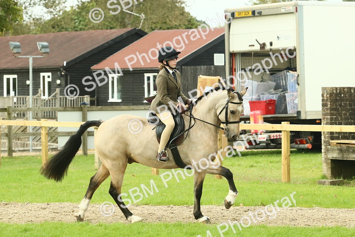 SBM_74001 - S 61 - Show Pony & Show Hunter Pony Ridden
