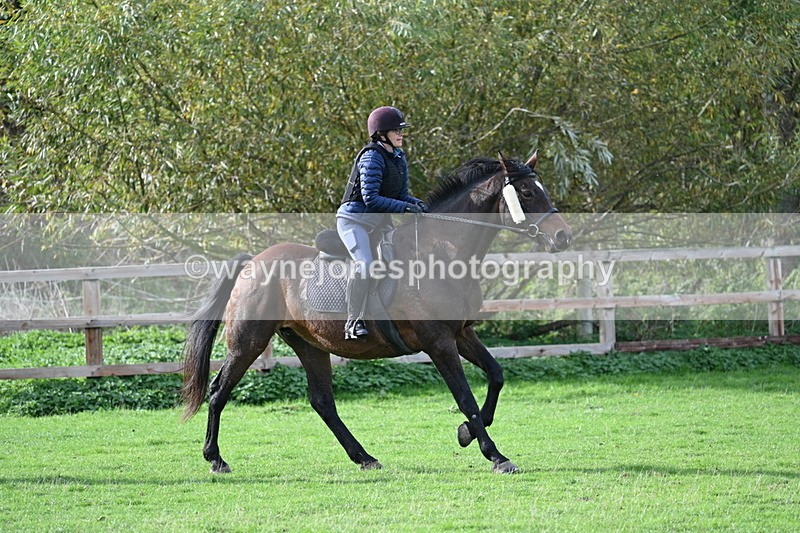 WJ7_1098 - Time 14:27 to 15:11