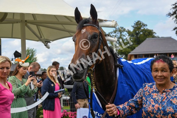 240823-Race 4-Warm Heart-0405 - Race 4 3.35pm Pertemps Network Yorkshire Oaks