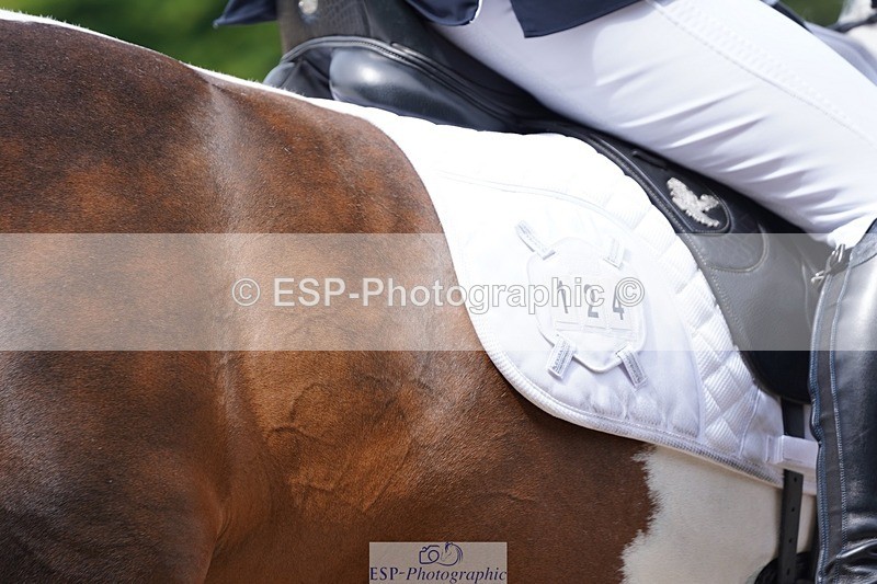 240721-113146-07822 - 124-Sophie_Savage-Two_Tone_Ted