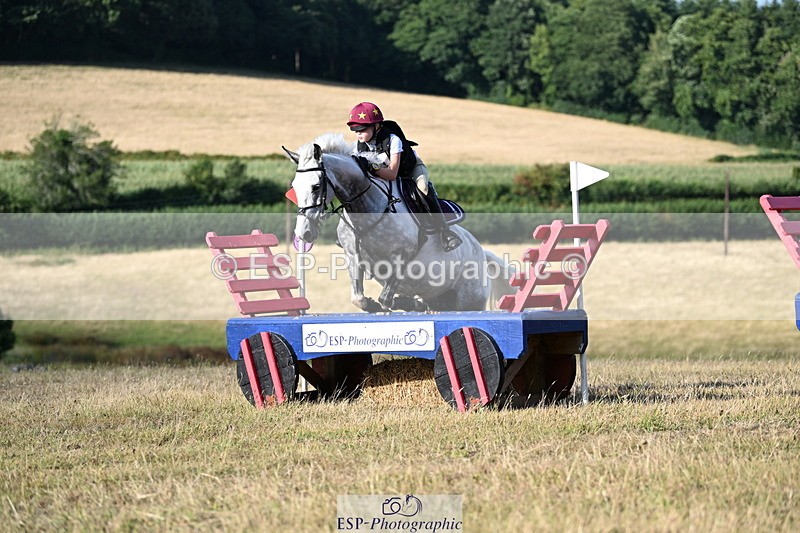 250803A-181355-18636 - R-824-Poppy.Wilkinson-DAISY.DER.BLUME