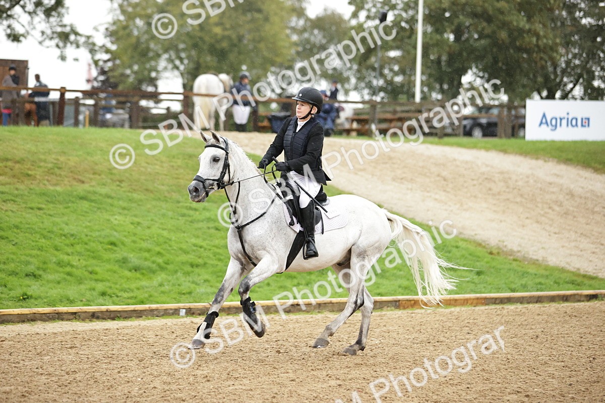 SBM_33168 - J38 - Senior Horse & Pony 80cm Championship
