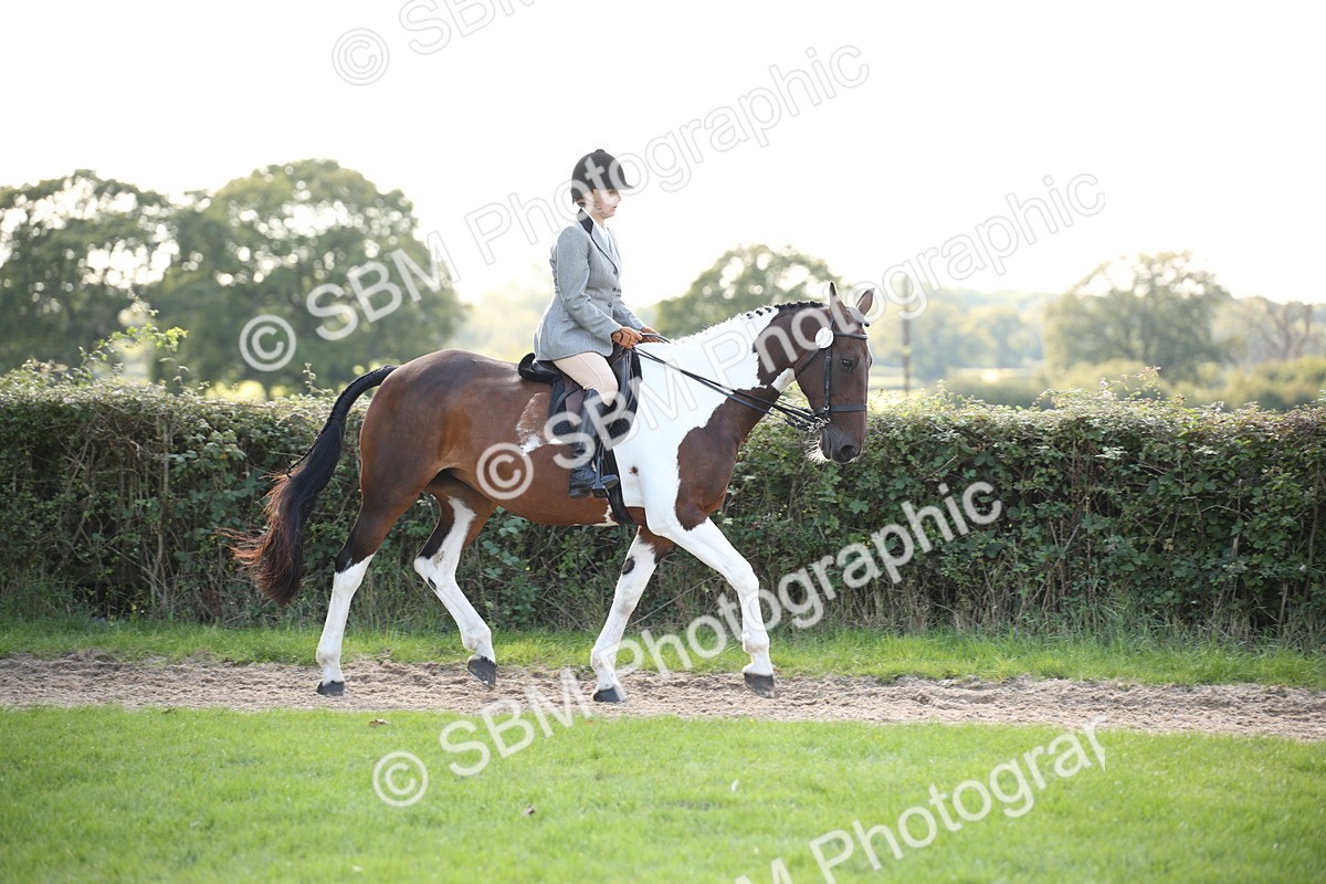 SBM_50106 - S26 - Young Veteran - Ridden