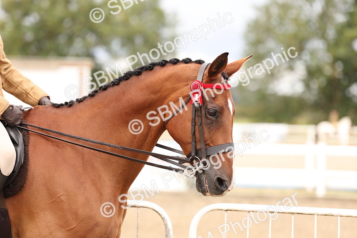 SBM_02789 - Class 53 - Ridden Competition Horse/Pony