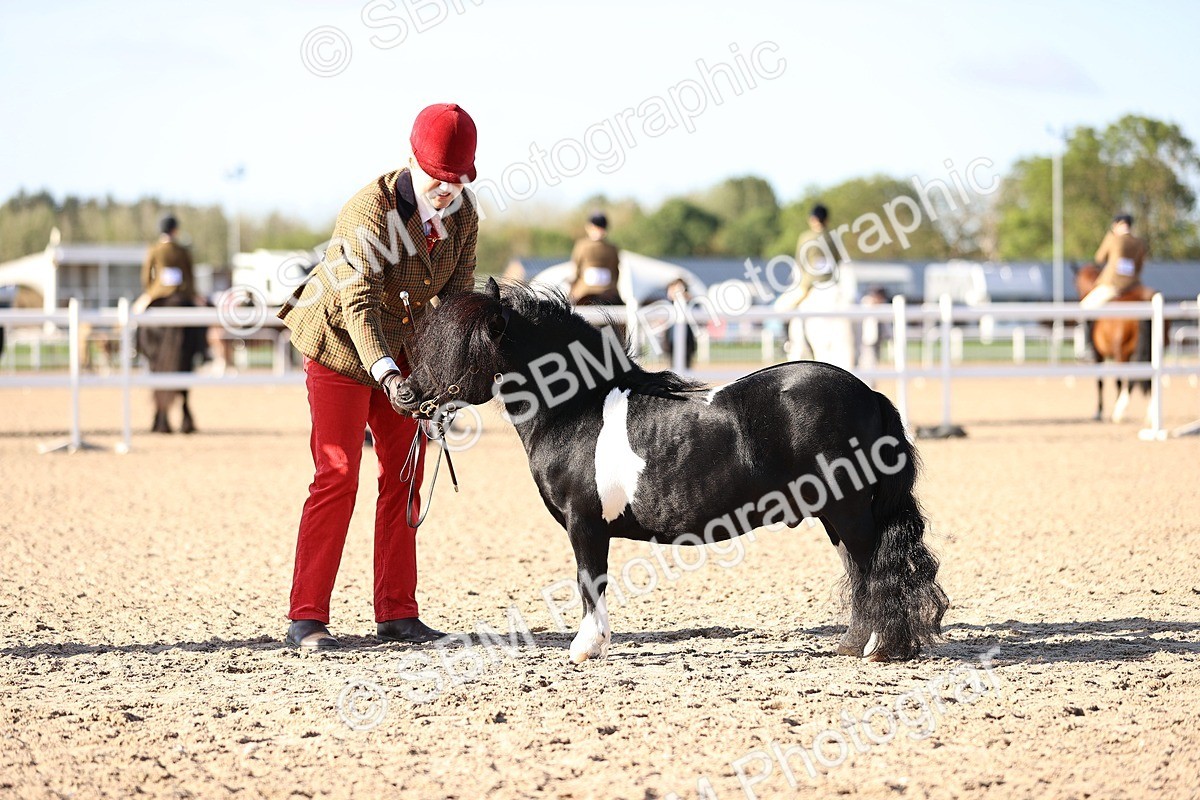 SBM_08473 - Class 402 - IH Veteran Pony