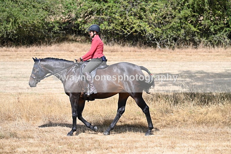 WJ7_8612 - Time 13:13 to 13:14