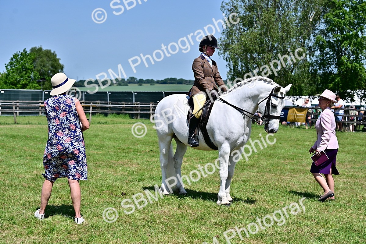 SBM_15340 - Class 95-97 - BSPS LHS Performance Ponies