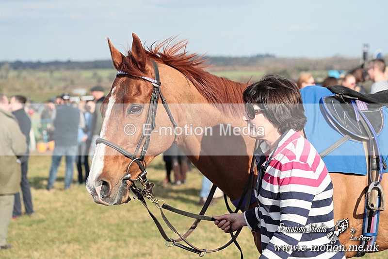 PtP 010325 383 - Beaufort Races Didmarton 01/03/25