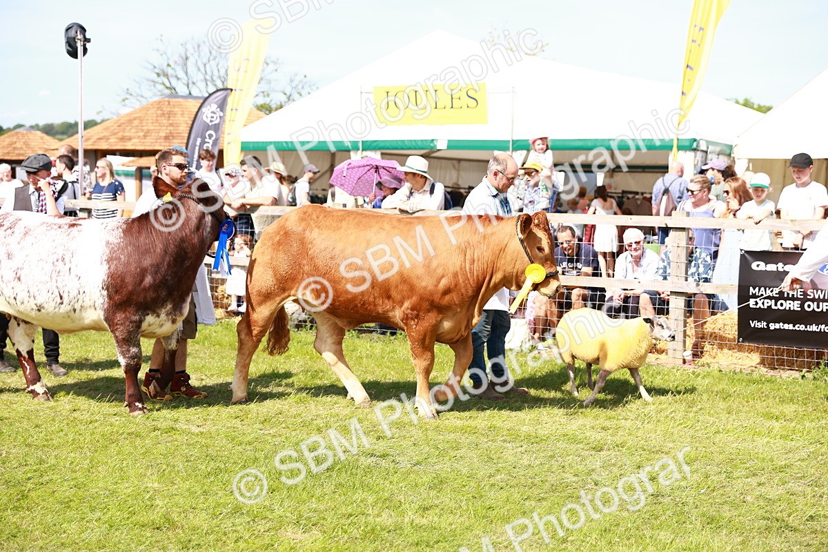SBM_08327 - Grand Parade