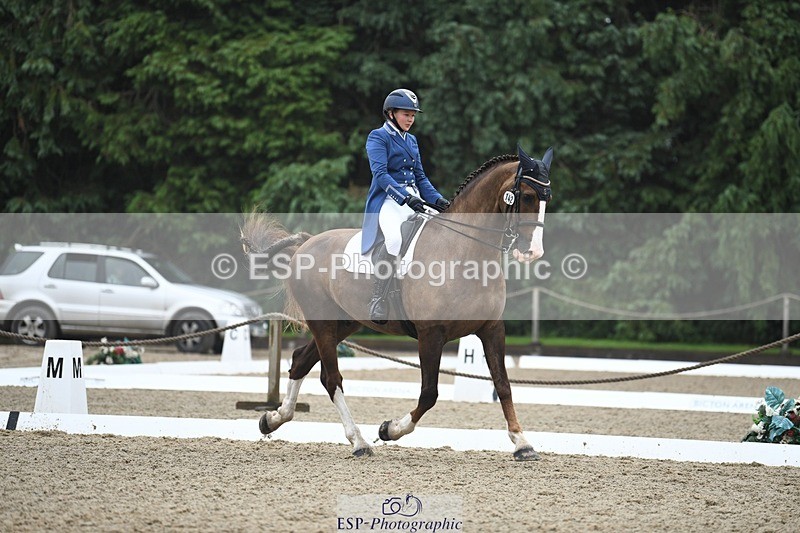 240720-143201-05669 - 142-Amberley_Pugsley-Hero_A