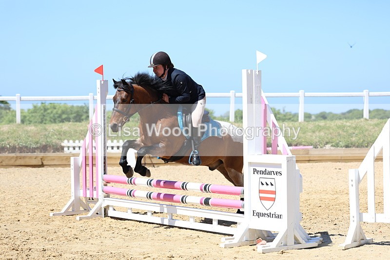 3E7A2625 - Class 4/5: 60cm Open Teams and Individuals