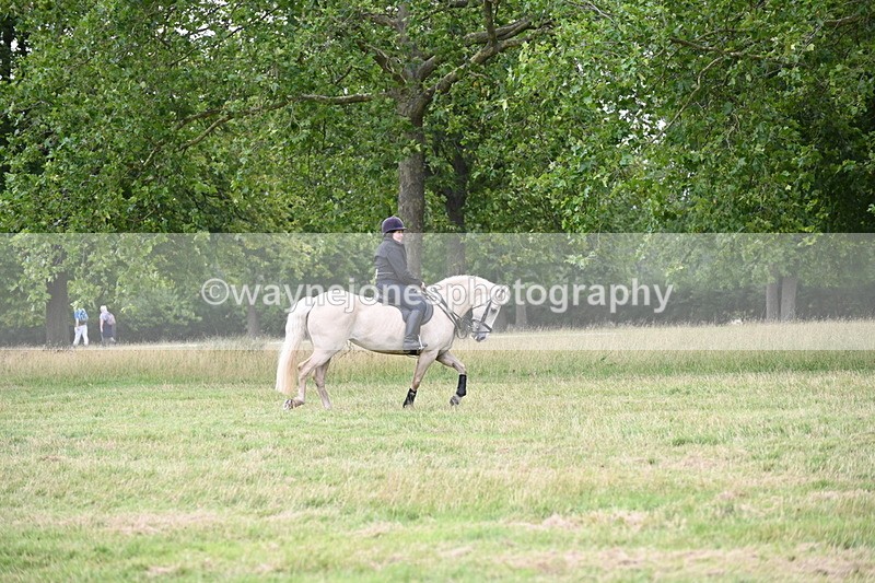 WJ6_4946 - Time at Jump 13:04 to 13:34