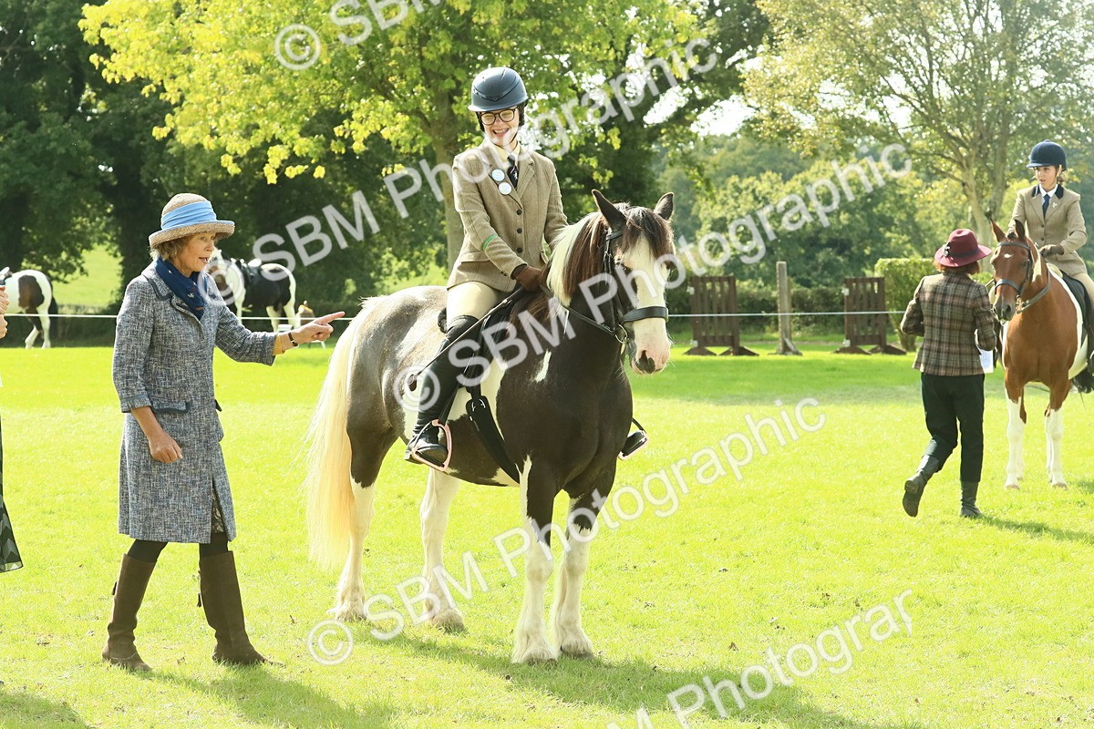 SBM_67516 - S56 - Coloured Pony Ridden