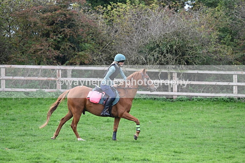 WJ7_0268 - Time 13:55 to 14:26