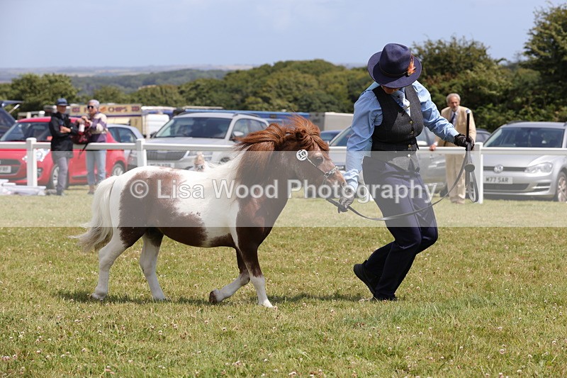 1X9A4838 - Class 35: Veteran In Hand