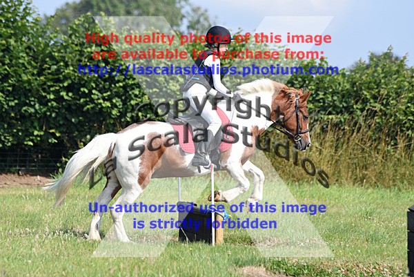SNCP_0168 - N Group