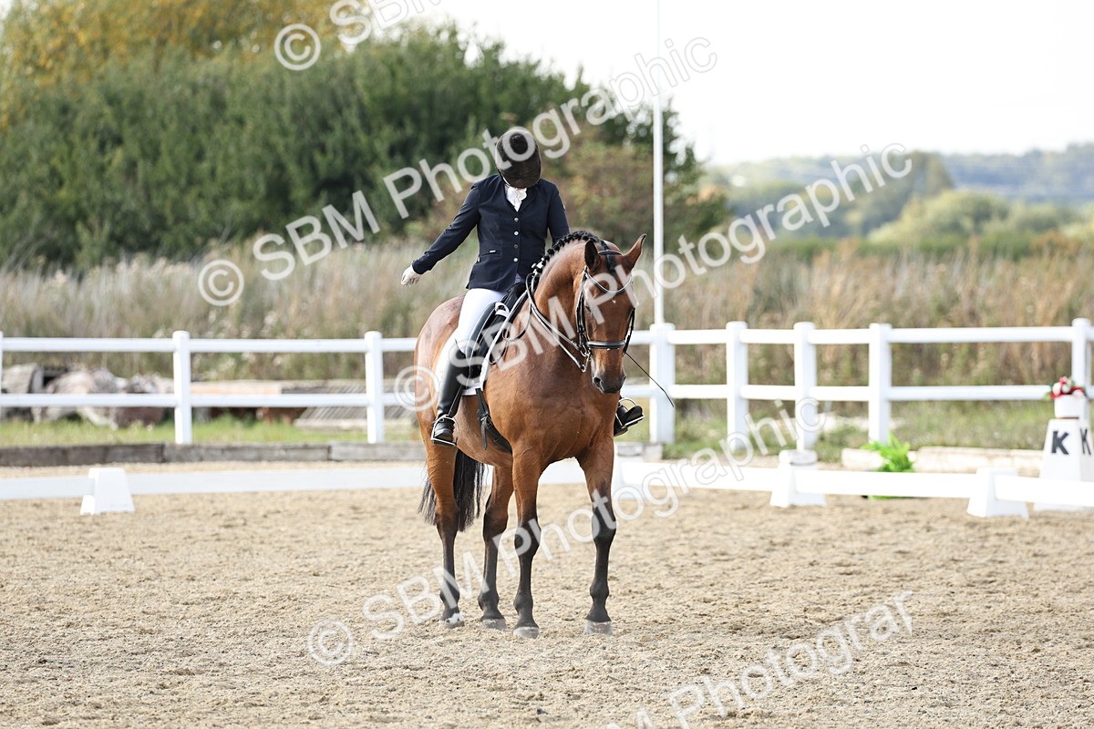 SBM_015442 - Class 9 - Advanced medium 3