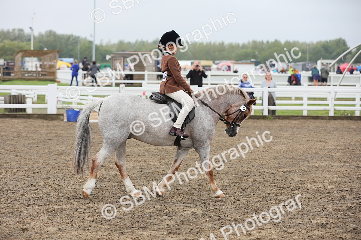 SBM_21807 - Class 806 - Young ridder 10 Yr & Under