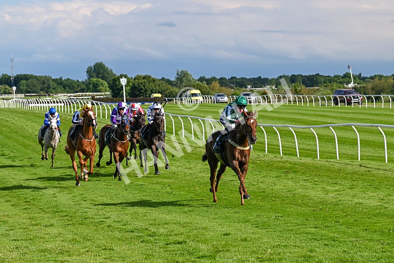 180624-Race 6-Infinite Honour-0753 - Race 6