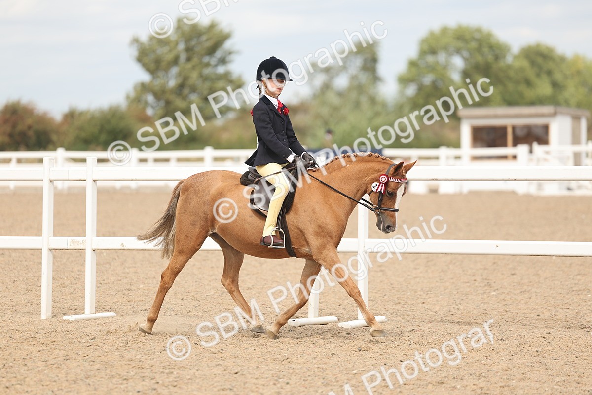 SBM_15963 - Class 311 - Ridden Show pony-Show hunter Pony