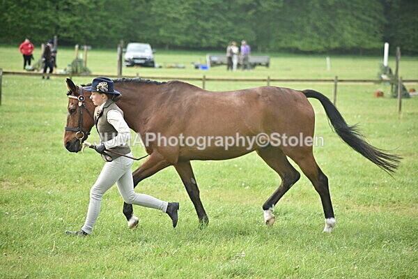 DSC_8248 - Rings 1 & 2