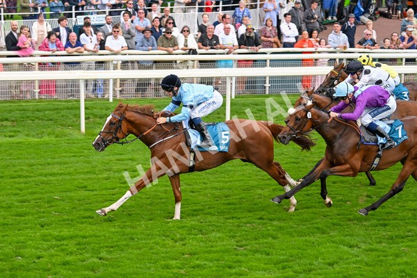 080925-Race 6-Rhapsody-7795 - Race 6 5.00pm Sky Bet Build A Bet Fillies' Handicap