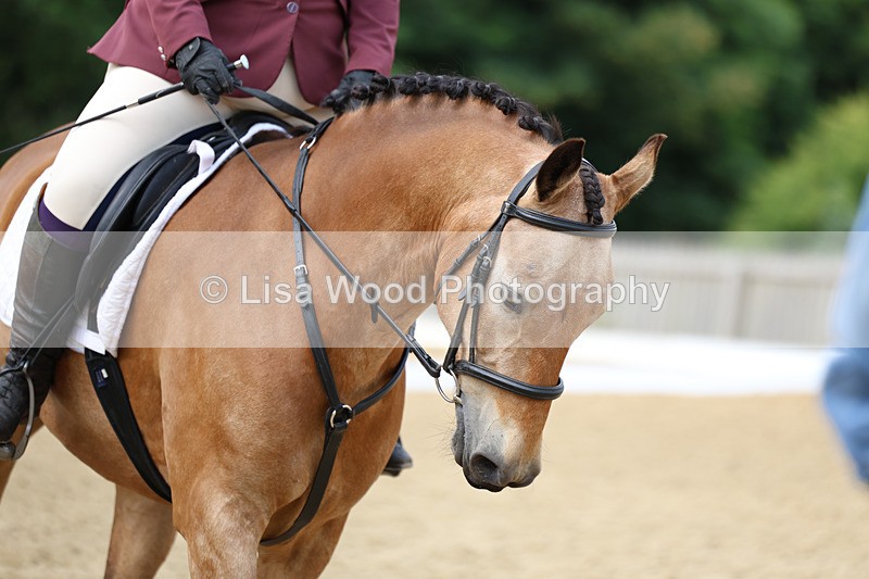 3E7A9146 - Class 2: Intro 1 2024 Section B