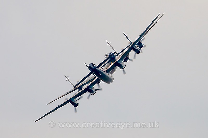 No.0019. Vera & Thumper - Aviation