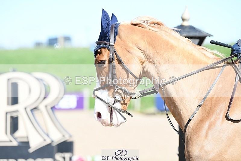 250328-122507-00955 - Cls 3 Snr Foxhunter