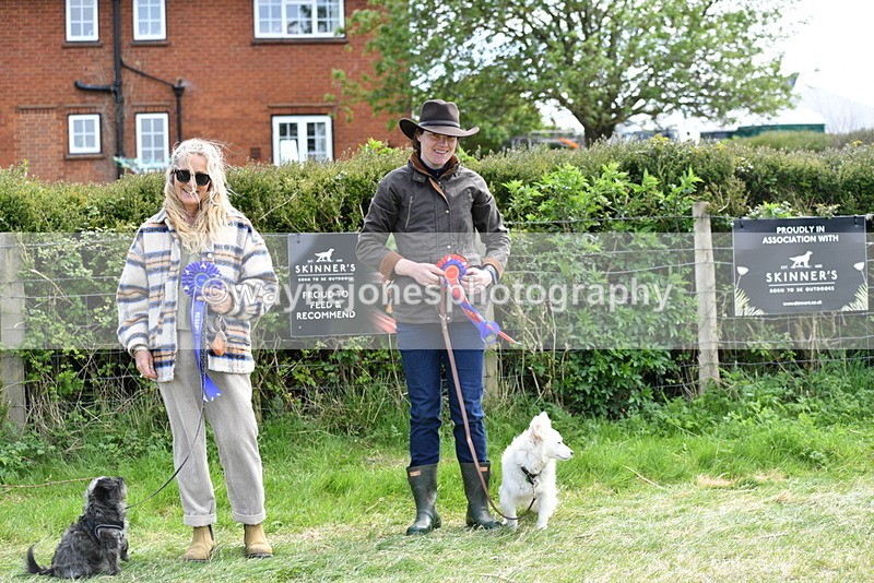 WJ5_0854 - Best in Show Championship