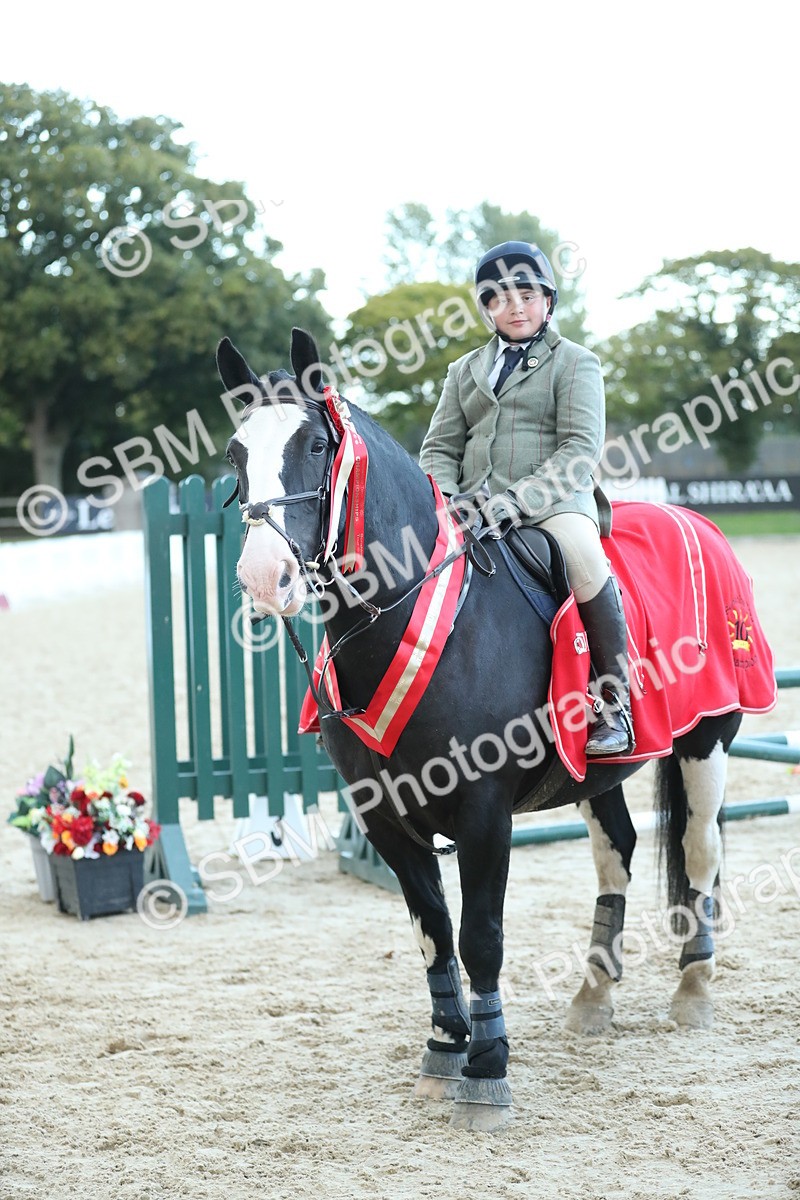 SBM_53738 - Supreme Championship 65cm 70cm