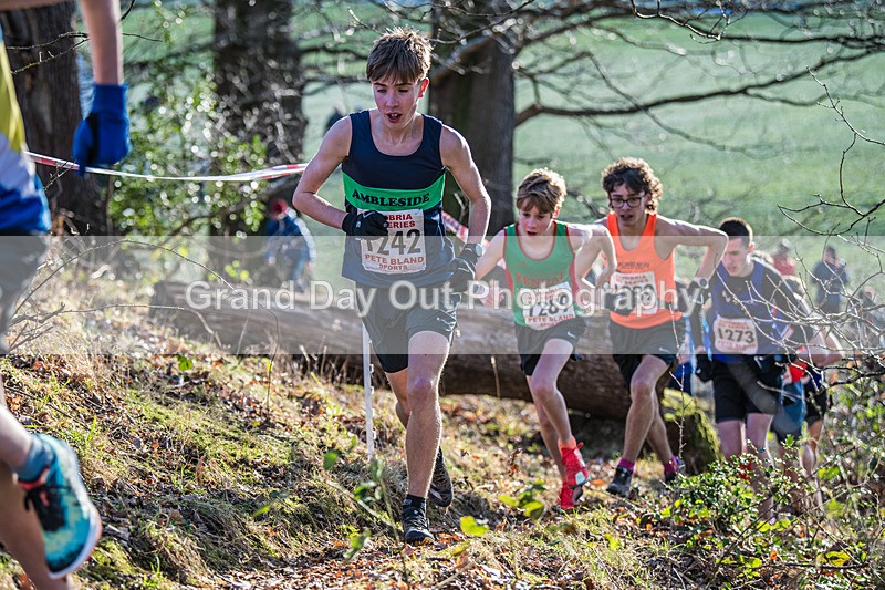 Cumbria XC-317 - Cumbria Cross Country Championships (Junior & Senior Races) Saturday 3rd January 2026