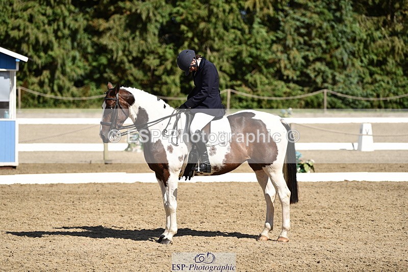 140110A-051916-12447 - 090-Debbie.Squires-Mystic.Spirit