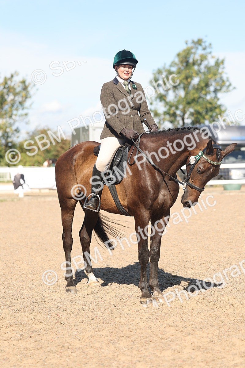 SBM_13070 - Class 305 - Ridden Foreign Breed Pure Bred