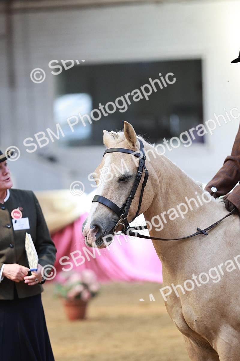 SBM_07190 - Class 10R - Regional Ridden Diamond