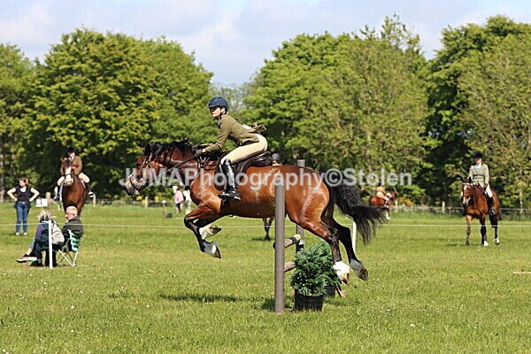 IMG_4218 - Working Hunter